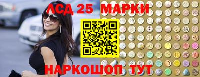 гидропоника Можга