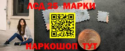 гидропоника Можга