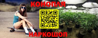 гидропоника Можга