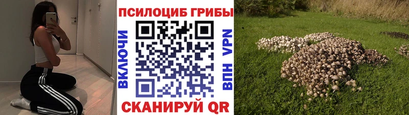 Галлюциногенные грибы прущие грибы  Россошь 